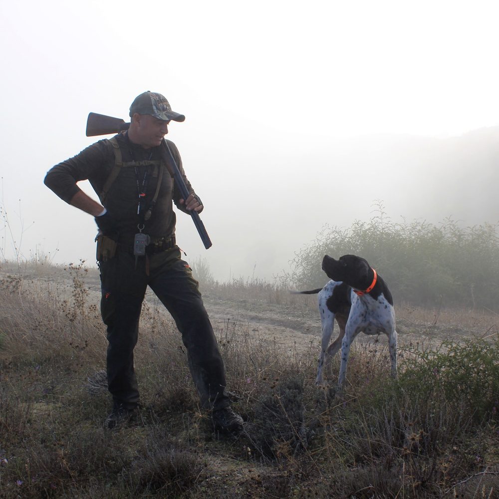 hunting-with-dog Georgia Quail and Pheasant Hunts